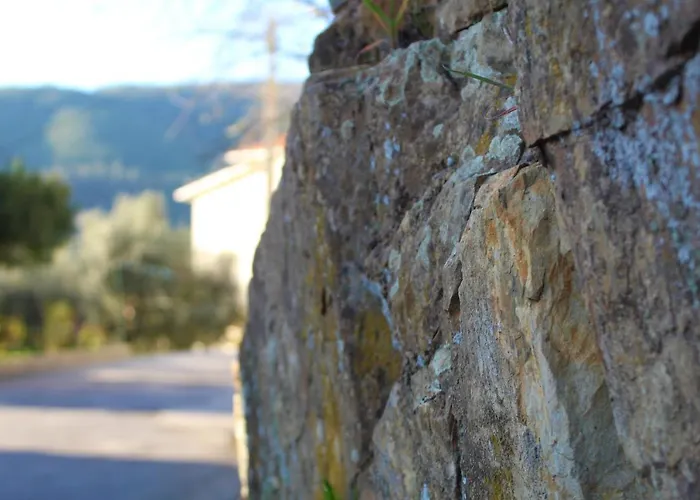 Casa Do Avô Vasco Esteves de Baixo